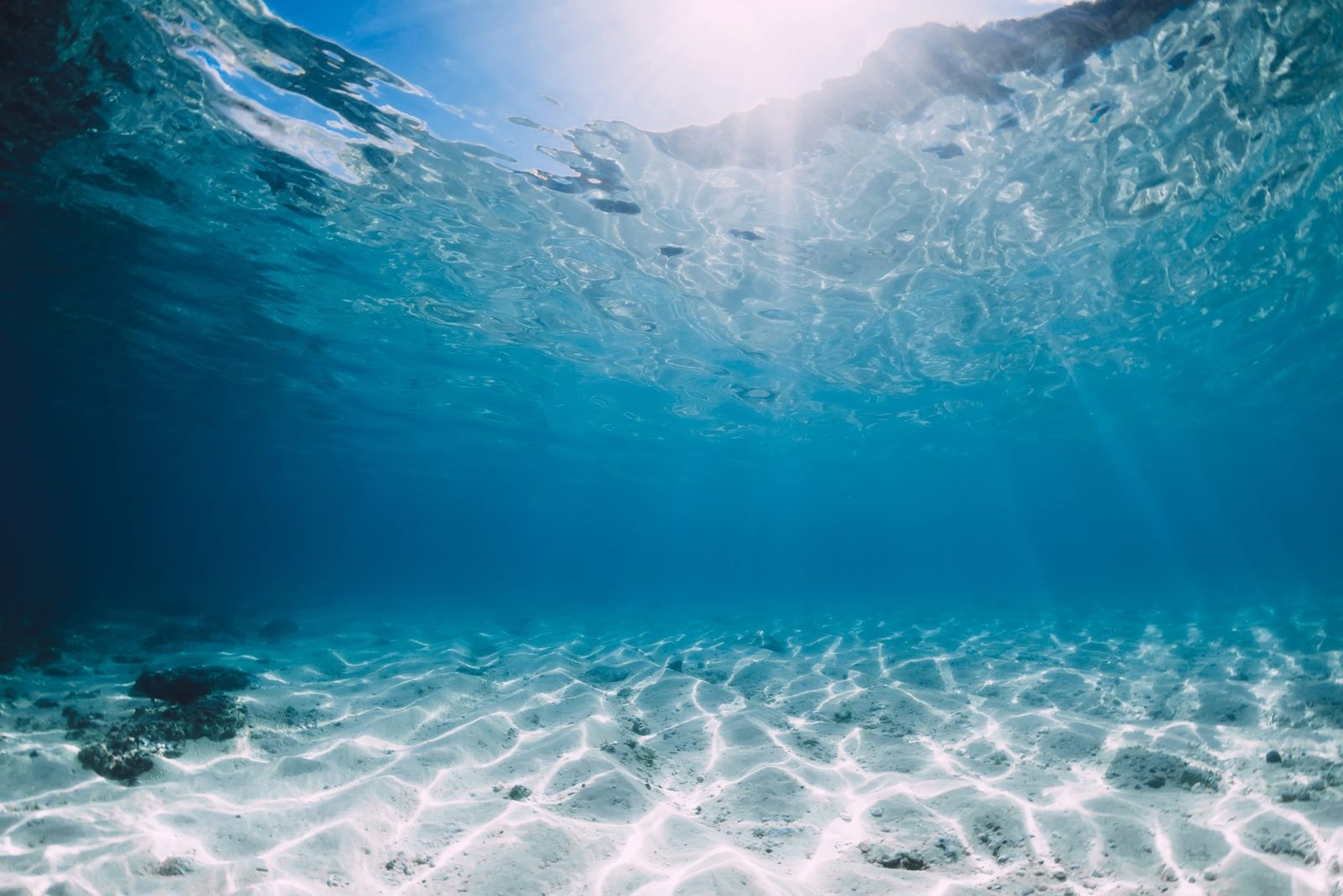 Tropical,Blue,Ocean,With,White,Sand,And,Stones,Underwater,In ocean generation